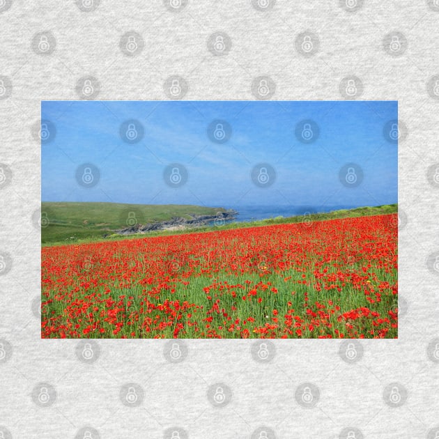 Poppy Field by Chris Petty